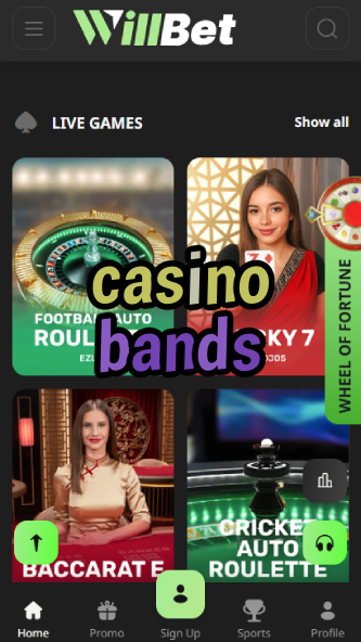 Casino Bands - Music-Themed Casino Experience-www.bdqngd.com